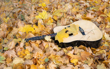 guitar in nature on a sunny day in autumnの写真素材
