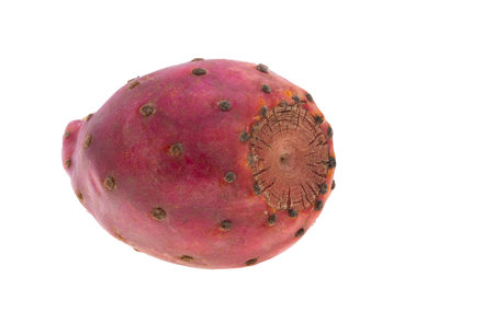 prickly pear isolated on white backgroundの写真素材