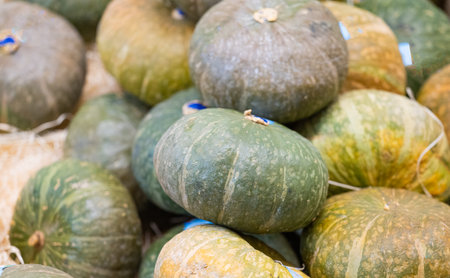 background of vegetables pumpkin in the store