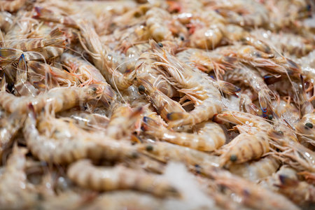 background of seafood in the store