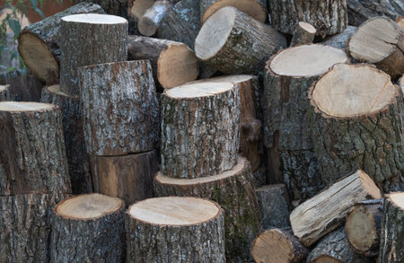 background from cut firewood
