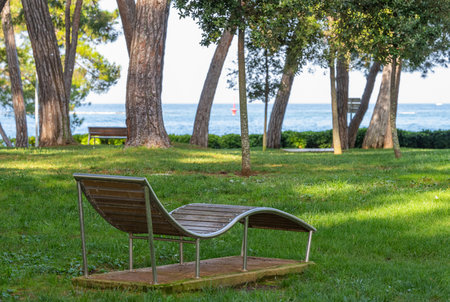 recreation area in a pine forest