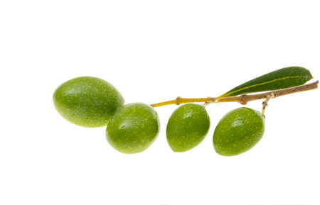 sprig with green olives isolated on white backgroundの写真素材