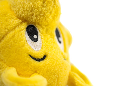 teddy bear soft toy closeup isolated on white backgroundの写真素材