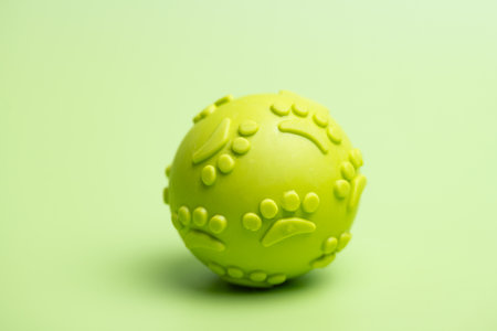 dog toys on a beautiful backgroundの写真素材