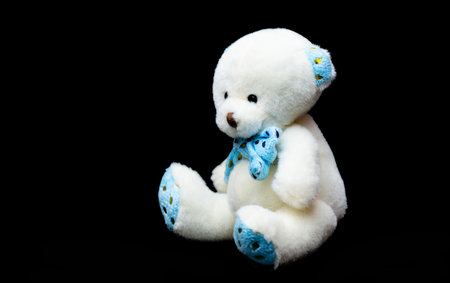 soft toy bear on black background