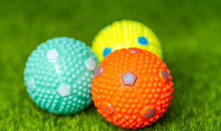 Dog balls on green grassの写真素材