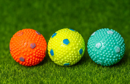 Dog balls on green grass
