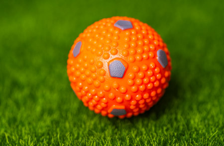 Dog balls on green grassの写真素材