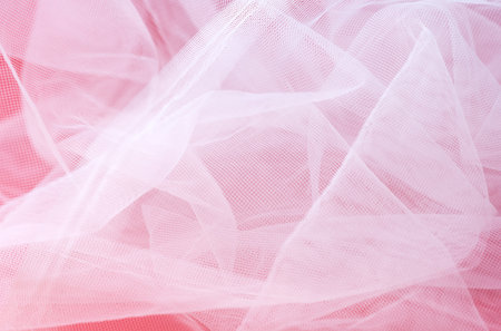 white background close upの写真素材