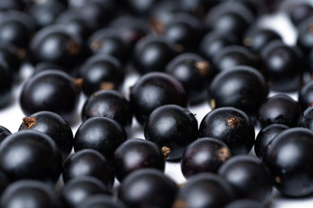 black currant berries on white backgroundの写真素材