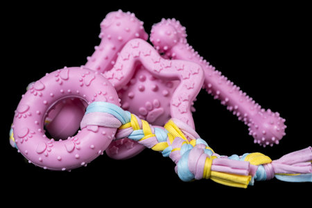 dog toys close up on black background