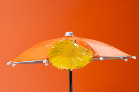 autumn leaves with umbrella close upの写真素材