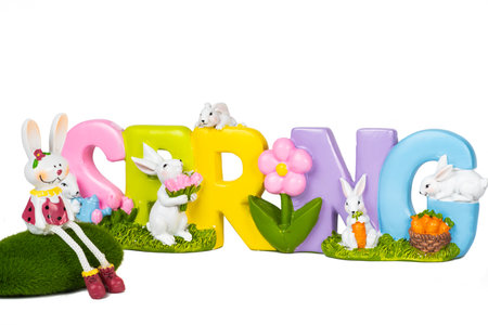 Easter bunny with the word Spring isolated on white background