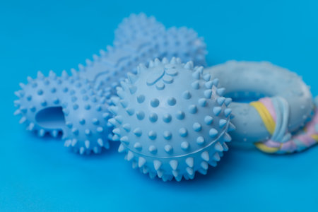 dog toys on a blue backgroundの写真素材