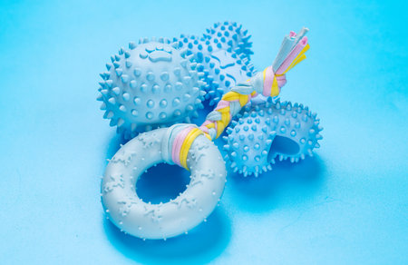 dog toys on a blue background