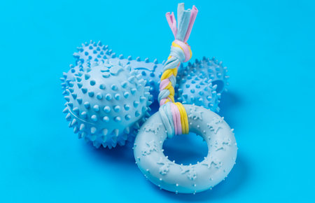 dog toys on a blue background