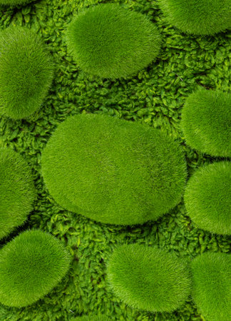 green background of moss-covered stones close-up