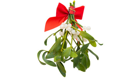 Bouquet of mistletoe isolated on white backgroundの写真素材