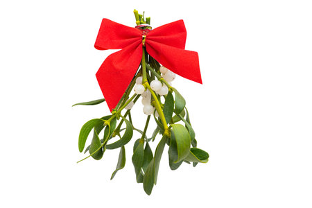 Bouquet of mistletoe isolated on white backgroundの写真素材