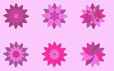 Bright large flowers, pink and purple colors. Spring plantsのイラスト素材