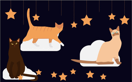 Cartoon cats characters collection.Flat,のイラスト素材