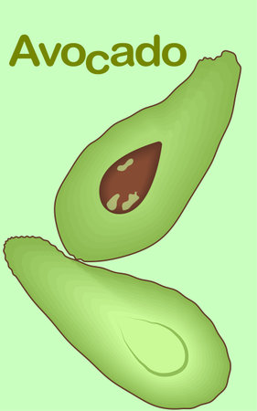 Green avocado - healthy fruitのイラスト素材