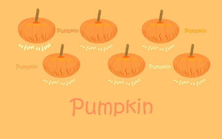 Whole Orange Round Pumpkin.Autumn Vegetable,Seedsのイラスト素材