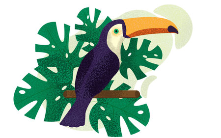 Toucan Bird of Paradise Composition with Noisesのイラスト素材