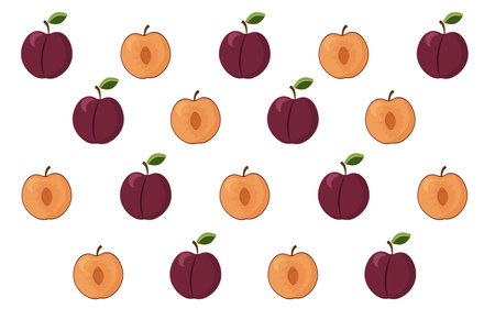 Vector illustration of plum whole and slice isolated on white background