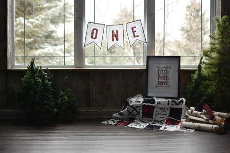 Lumber Jack themed First birthday photography backdropの写真素材