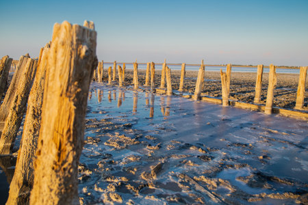Sasyk-Sivash lake with pink water, salt spots and pillars.