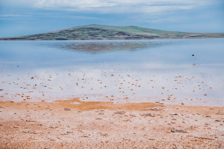 A lake with protrusions of pink-orange salt above the water. Koyashskoye Lakeの写真素材