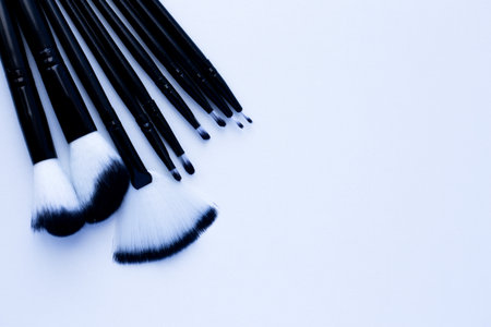 Black brushes with white and black pile for makeup of different sizes lie on a white background on...