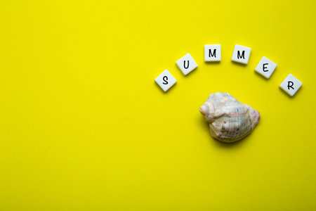 On a yellow background there is a shell and the word summer is written above it.の写真素材