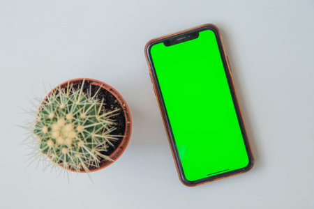 A phone with a green screen lies next to a cactus on a white background. . High quality photoの写真素材