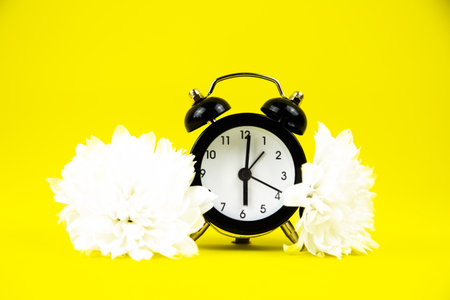 A black alarm clock with a white dial stands on a bright yellow background surrounded by white flowers. High quality photoの写真素材