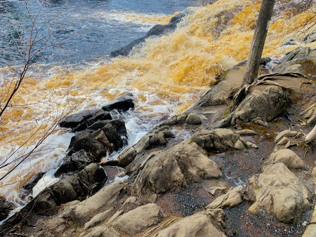 In the foreground, a rock with trees is visible, then a foaming mountain river. High quality photoの写真素材