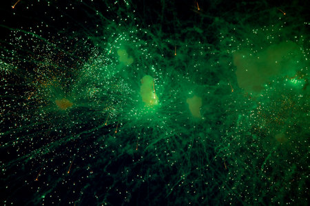 Bright fireworks with a green glowing center with green sparks and smoke flying towards the background of the night sky. High quality photoの写真素材
