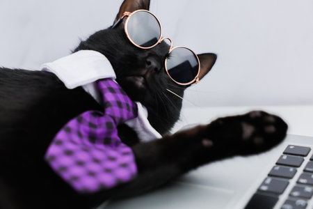 A funny black cat in a white collar and a purple checkered tie, wearing black glasses in a gold frame, is lying on an open laptop, a black keyboard is visible, he is lying with one paw up on a light background in close-up. Pets, Office, Business, Leisure, Work Break Concept. High quality photoの写真素材