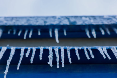 From the edge of the blue roof, icicles hang in two rows, view from below. The concept of danger,...