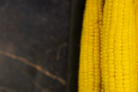 Close-up of yellow ripe peeled ears of corn with large grains lying on the side on a dark background with space for text. The concept of healthy nutrition, natural iron, corn cultivation. High quality photoの写真素材