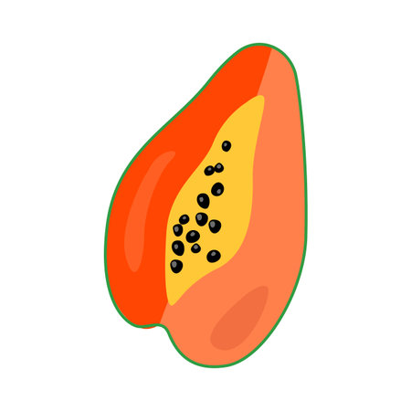 Papaya, tropical fruit. Flat vector illustration in cartoon styleのイラスト素材