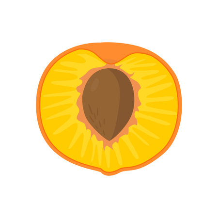 Peach slice. Cut peach. Flat vector illustration in cartoon styleのイラスト素材