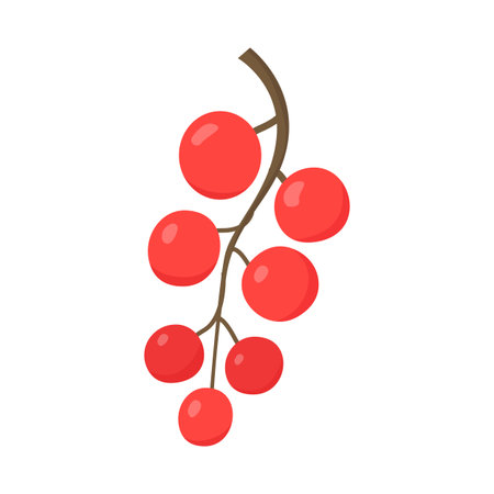 A bunch of currants, berries. Flat vector illustration in cartoon styleのイラスト素材