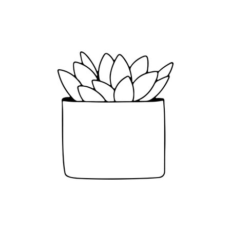 Plant in a square pot linear illustration. Outline image. Vector.のイラスト素材