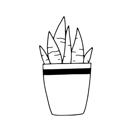 Plant, cactus in a pot linear illustration. Outline image. Vectorのイラスト素材