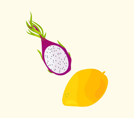 Dragonfruit and mango exotic fruit set. Vector illustration of half a dragonfruit and a whole orange mango. Fruit for a print or package design or app.のイラスト素材