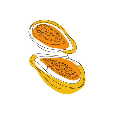 papaya. Linear papaya design with orange spots. Vector drawing of exotic fruit with seeds for package or recipe design.のイラスト素材