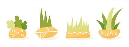 Home flowers in a pot vector on white backgroundのイラスト素材